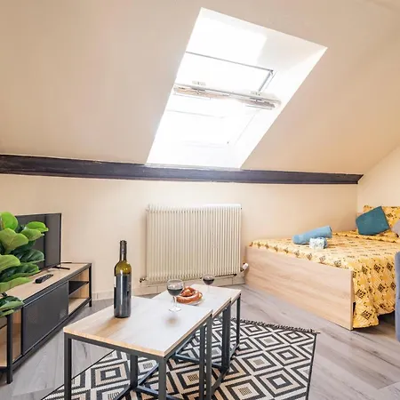 Celestial - Golden Tree - Wifi - 20min St-croix & Center Parcs