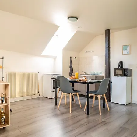 Celestial - Golden Tree - Wifi - 20min St-croix & Center Parcs Apartment Sarrebourg