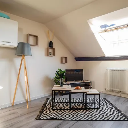 Celestial - Golden Tree - Wifi - 20min St-croix & Center Parcs Apartment Sarrebourg